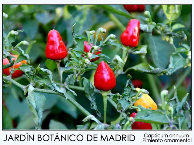 Garden maladies and unwanted intruders affecting common vegetables