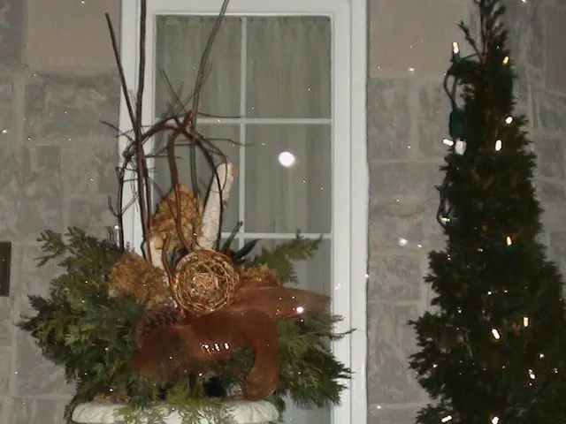 Transformed agricultural park into a glowing Christmas landscape with lighting.
