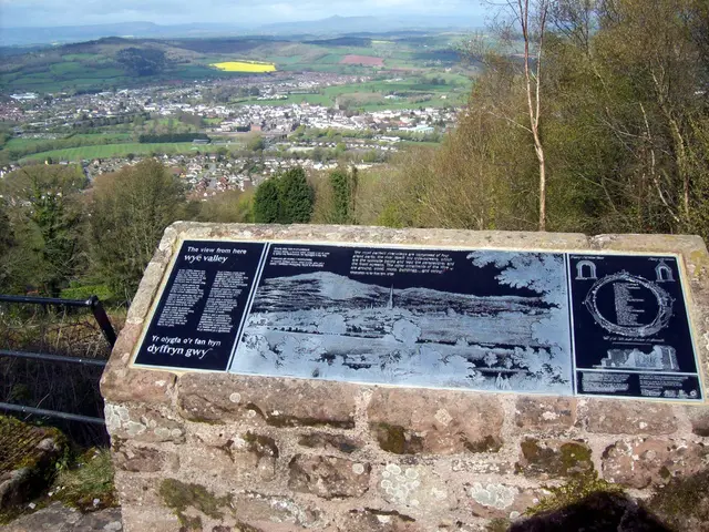 Guide to Creating a United States Corkboard Map