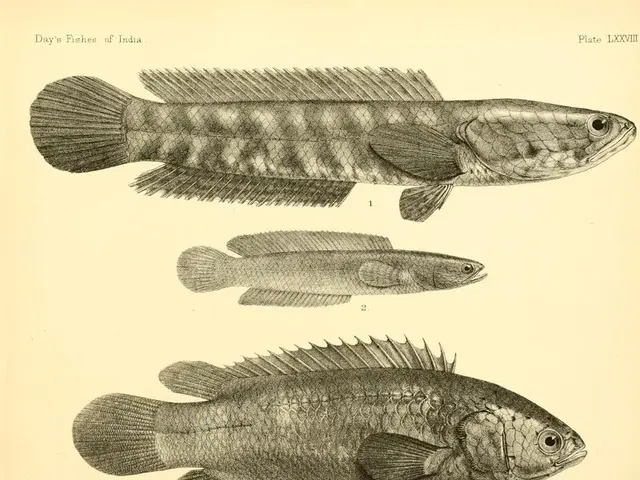 Crafted Creature Using Paper Plates: A Handmade Guide for Aquatic Artwork