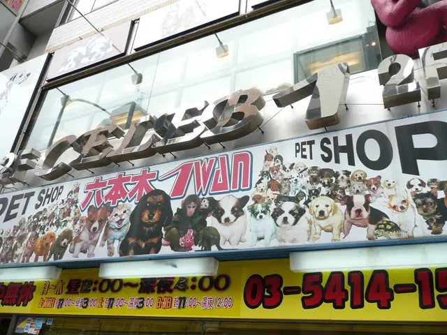 The Delight of Amassing Antique Postcards as a Pastime