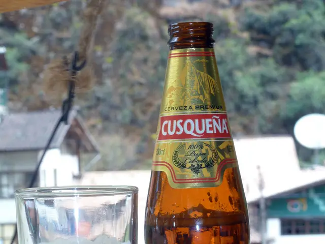 Wine enthusiasts flock to Alto Adige