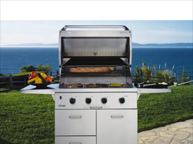 Outdoor Grill and Smoker by Ninja Woodfire is discounted to $200 on the Best Buy mobile...