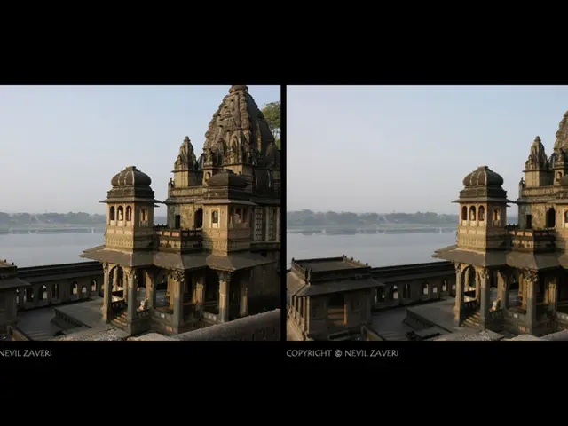 Temple of Kashi Vishwanath Enforces Plastic Ban, Wins Public Acknowledgement