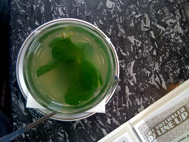 Mint Plants and Mice: Debunking Folk Beliefs Gardening Enthusiasts Need to Know