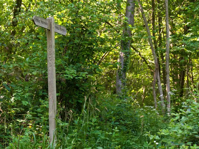 Image Manipulation via Python (Gradient-Based Morphology in Picture Alteration) - Set 3