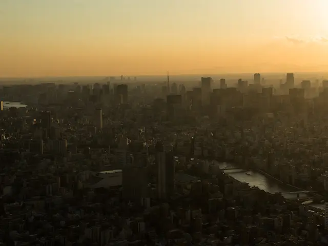 A breath-taking architectural marvel, Calatrava's futuristic bridge in Spain, offers a fascinating...