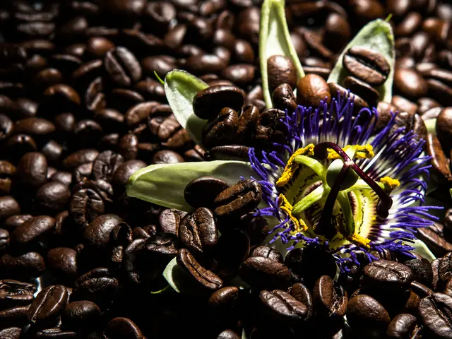 Boost Your Garden with Coffee Grounds: A Guide to Enhancing Garden Plants Using Coffee Waste