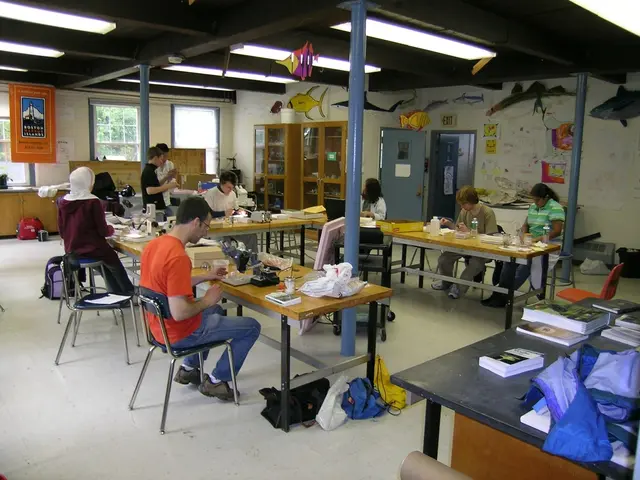 Revamped Dorm Decor Ideas for Your Boston University Accommodations