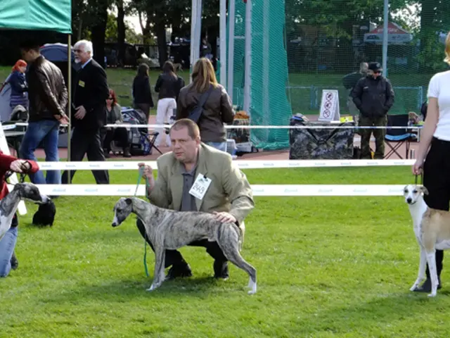Guardians Youth Group at Lackford Lakes Wetlands