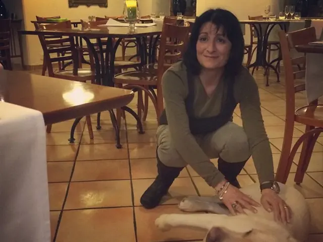 Discover the secret to a well-mannered, content canine – trainer reveals an effortless solution!