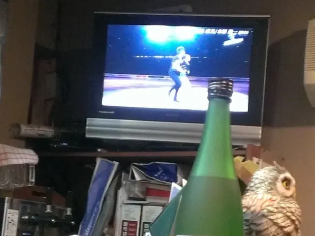 Magic-themed children's book featuring animals from a mystical school is under examination at...