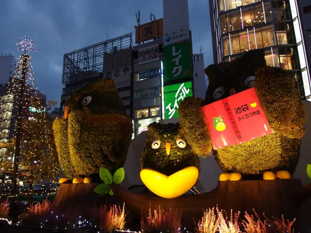 Transforming the agricultural park into a winter wonderland with Christmas lights and decorations