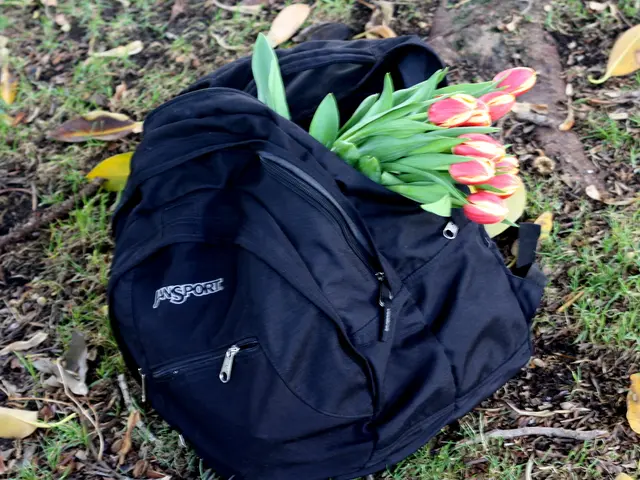 Free distribution of leaf bags starting Monday