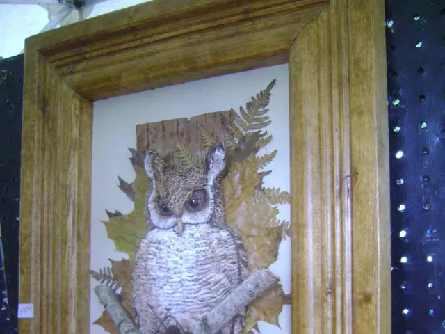 Five embroidery designs featuring owls suitable for various events!