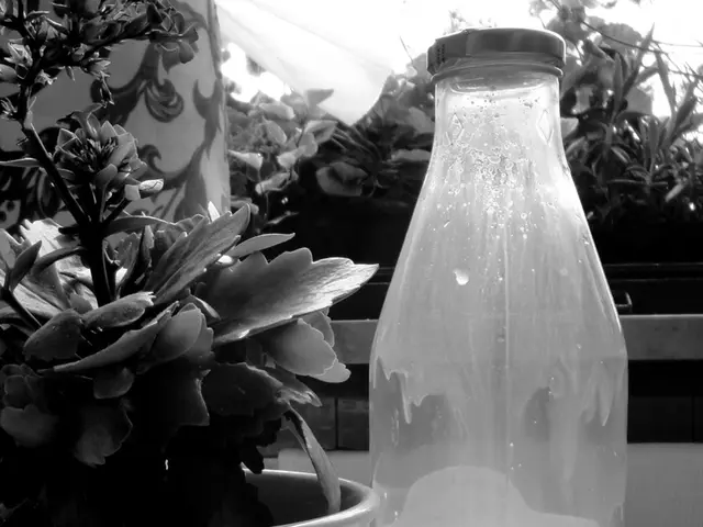 Cultivating Swiss Cheese Plants: Essential Soil Information