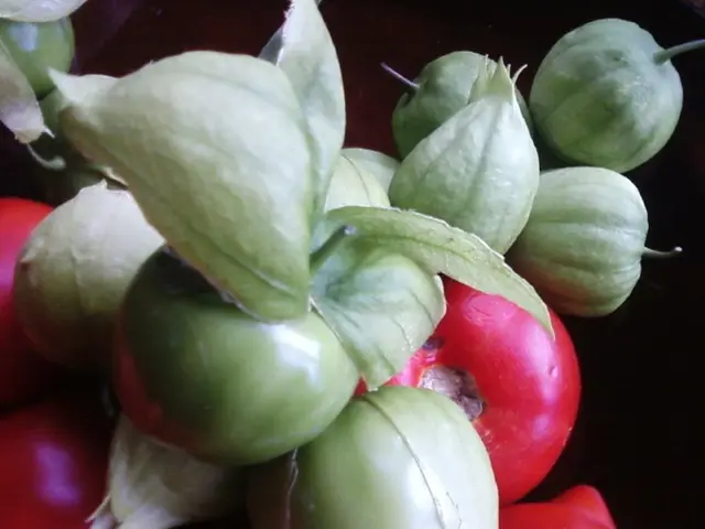 Late Garden Care Suggestions: