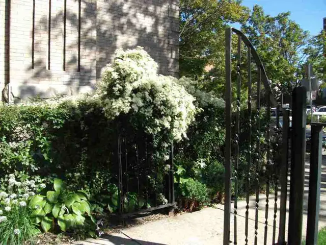 Managing Ironweed: Strategies for Suppressing Ironweed Growth