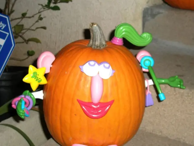 Annual Giant Pumpkin Event Held in Broadcasting Sector from September 13-14, 25