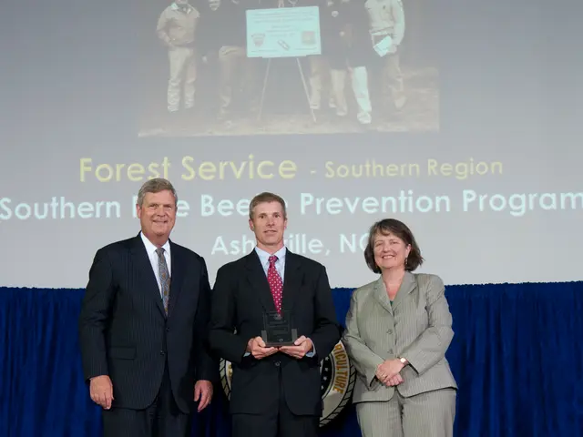 Ultimate Choices for the Top French Animation Studios