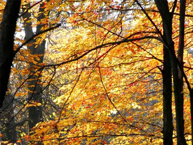 Top 10 Stunning Vertical Flora for Indoor Spaces