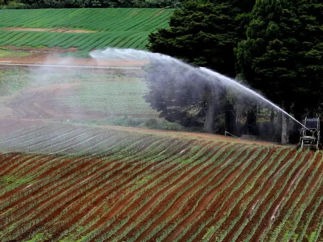 Thai Nguyen focuses on eco-friendly and long-term farming industry