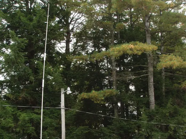 Securing your RV or camper from theft: essential information