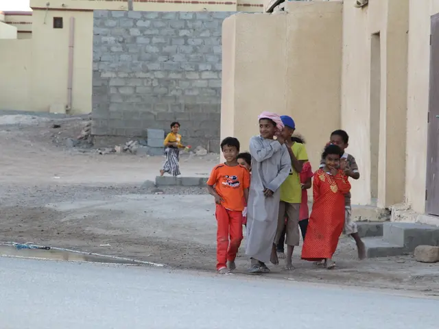 User Feedback Request: Valuing Your Thoughts!