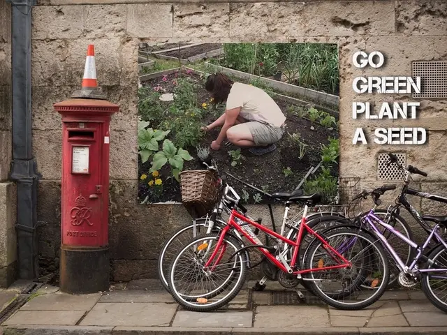 Preparing for an Exhilarating Wilderness Expedition