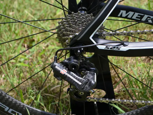 Top Lawn Mowers of 2024: 11 Models Suitable for Various Lawn Sizes and Budget Ranges