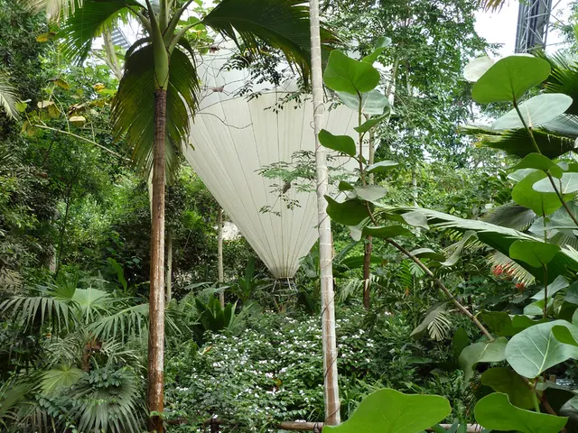 Aerial Planter Frame Suspended in Mid-Air