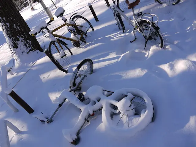 Preparing for the Future: City Cycles 2025 Emphasizes Hefty Dose of Programming!
