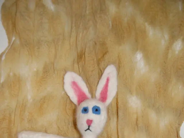 Constructing Affordable Dishwashers: A DIY Guide