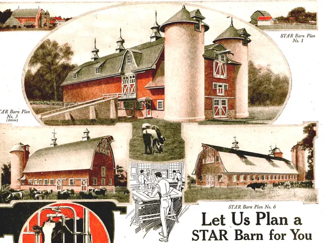 Decreasing Herds of Ancient Cattle Breeds: Rare Latvian livestock dwindles in numbers