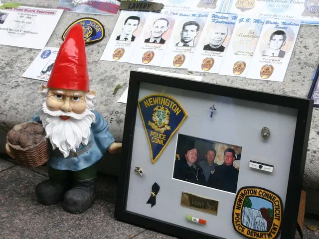 Shark Tank's Hoppy Paws Featured Product