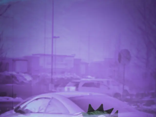 Holiday-Perfect African-Themed Fashion Essentials: A List of 10 Standout Styles