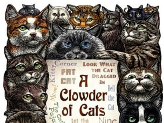 Annegret Zetzsche marks a quarter-century of professional commitment