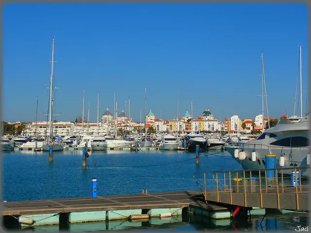 In this image we can see a few ships on the water, a bridge, few buildings in the background and...