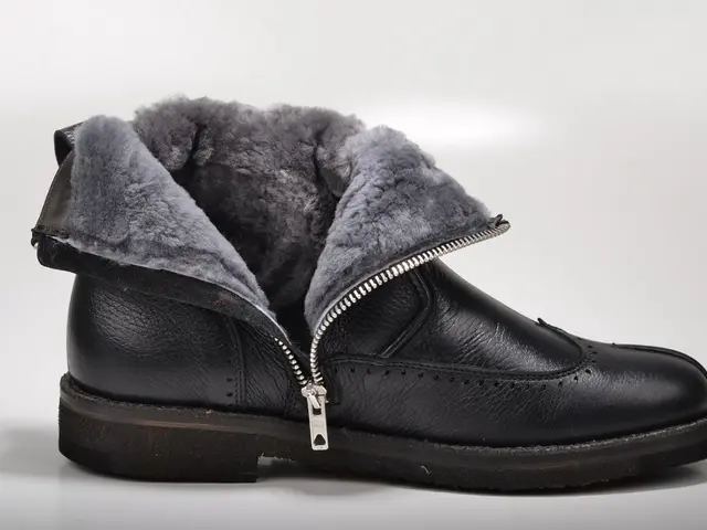 In this image there is a black shoe.