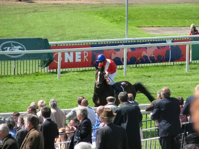 Group of people standing and this person riding on the horse and wear helmet. We can see...