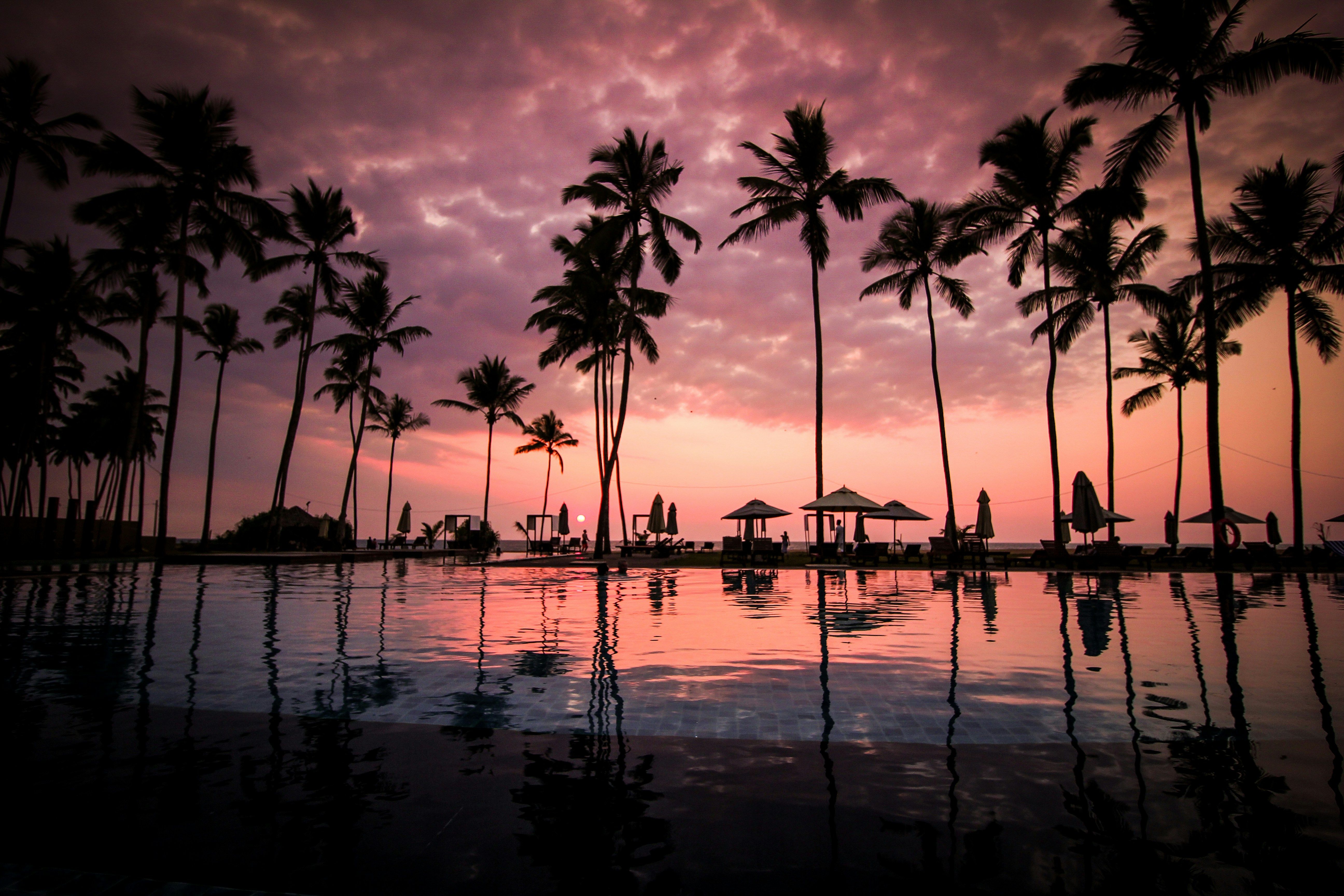 Reasons for Selecting Premium Hotels for Your Opulent Holiday: