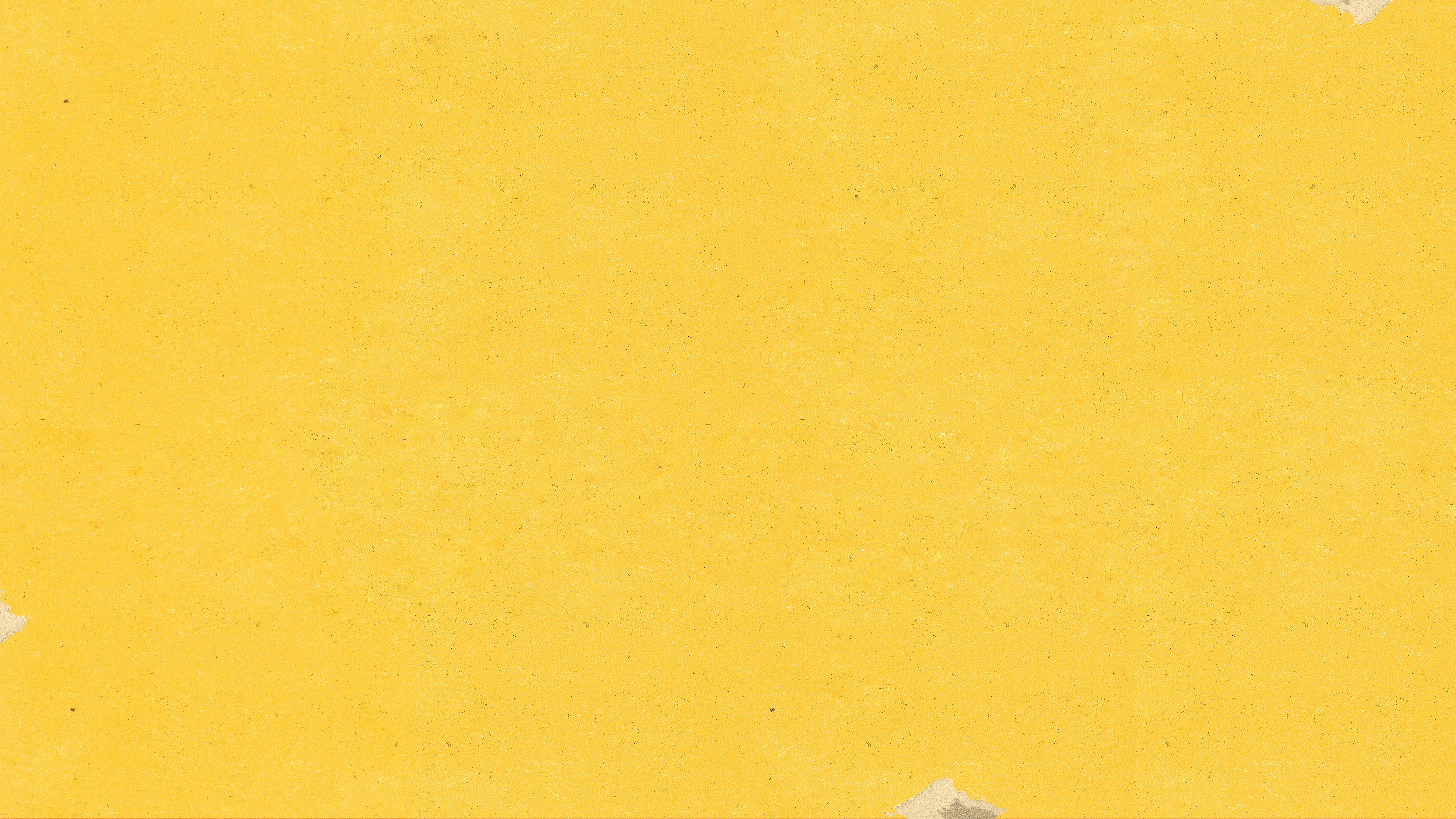 Uncover the Artist Pedro Vaz from Lisbon, our site's resident whose artwork and videos vibrantly...